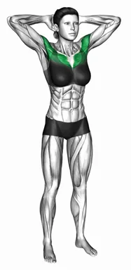 Hands Behind Head Chest Squeeze demo