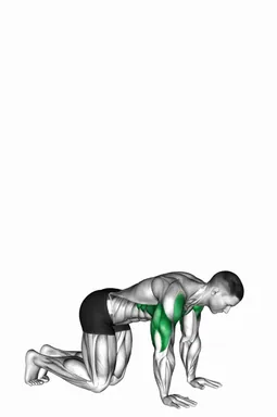 Handstand Push Up from Kneeling Position demo
