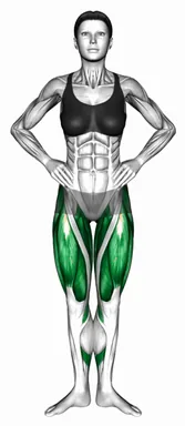 발꿈치 모은 하프 스쿼트 자세 시연