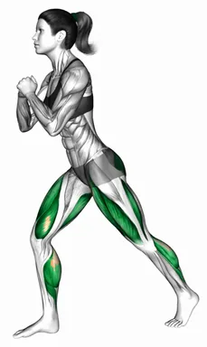 하이 로우 런지 스플릿 스쿼트 자세 시연