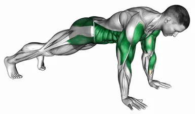 High Plank Shoulder Tap demo