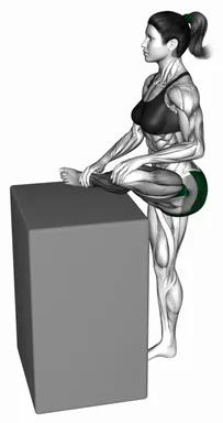 Hip External Rotator Stretch demo