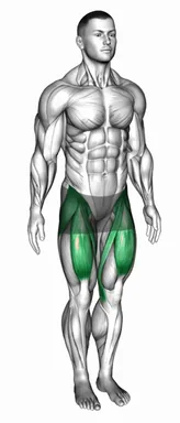 Hip Flexion demo
