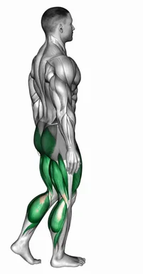 힙 런지 자세 시연