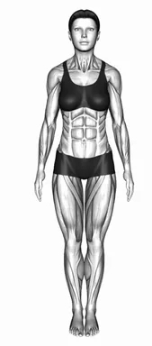 IFBB 포즈 자세 시연