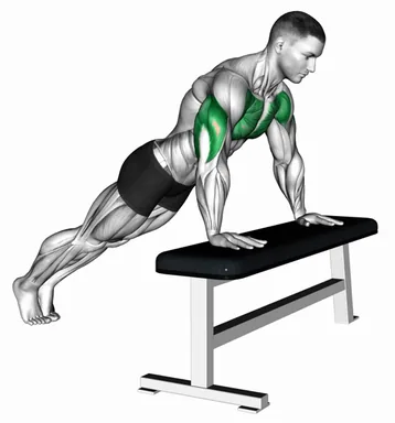 Incline Push up with Bench demo