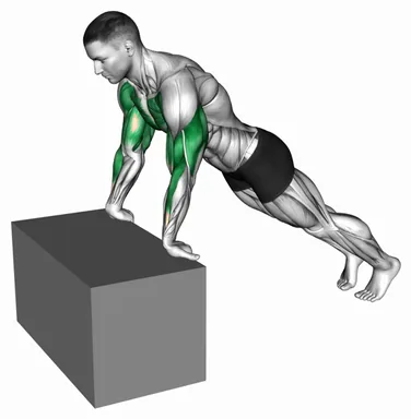Incline Reverse Push up demo