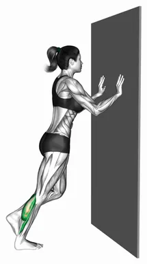 벽 지지 인클라인 싱글 레그 카프레이즈 자세 시연