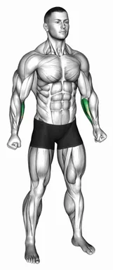 Inner Wrist Curl demo