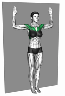 Internal and External Shoulder Rotation against Wall demo