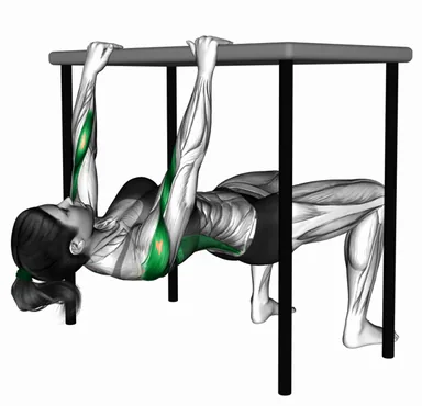 Inverted Row Bent Knee under Table demo
