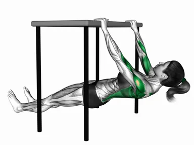 Inverted Row Straight Legs under Table demo
