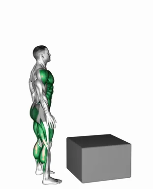Box Pistol Squat Jump demo