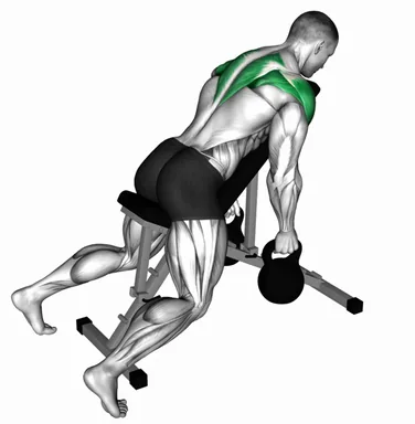 Kettlebell Reverse Fly demo