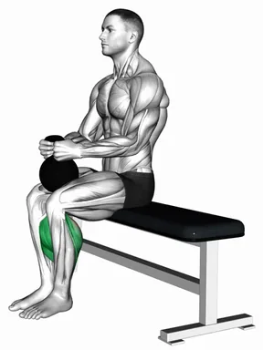 Kettlebell Sitting Calf Raise demo