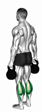 Kettlebell Standing Calf Raise demo