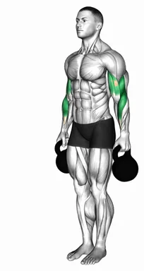 Kettlebell Standing Hammer Curl demo