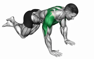 Knee Push-up Chest Pullback demo