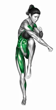 Knee Raise Side Jab (Demo 2) demo