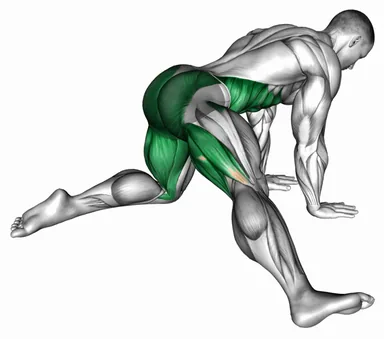 Kneeling Adductor Backward Stretch demo