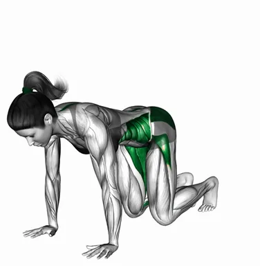 Kneeling Alternating Leg Lift Crossover demo