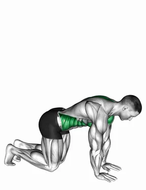 Kneeling Back Rotation Stretch demo