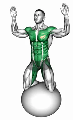 Kneeling Body Mobilization on Exercise Ball demo