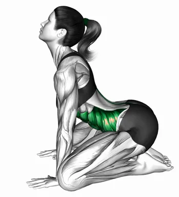 닐링 캣카우 자세 시연