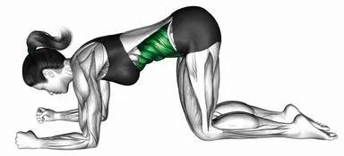 Kneeling Core Mobilization demo