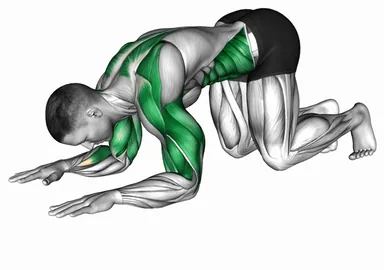 Kneeling Elbow Mobilization demo