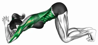 Kneeling Elbow Supported Downward Dog demo