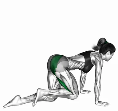 Kneeling Glute Press demo