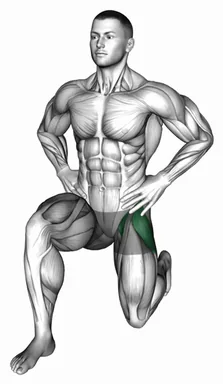 Kneeling Hip Flexor Frontal demo