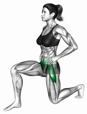 Kneeling Hip Flexor Lift demo