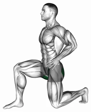 Kneeling Hip Flexor Sagittal demo