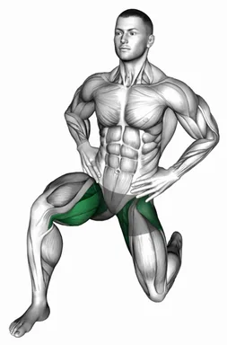 닐링 힙 플렉서 트랜스버스 자세 시연