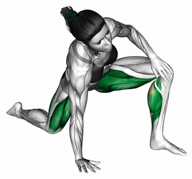 Kneeling Hip Opener into Forward Lunge and Hamstring Rockback demo
