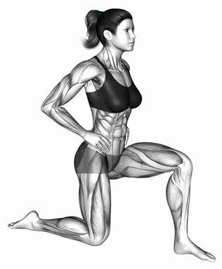 Kneeling Iliopsoas Stretch demo
