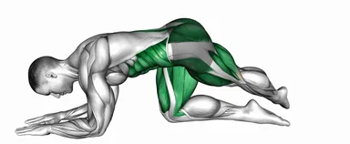 Kneeling Knee Tap to Crossed Reach demo