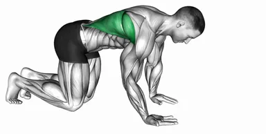Kneeling Lat Stretch demo