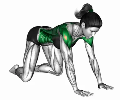 Kneeling One Arm Cross Body Stretch demo
