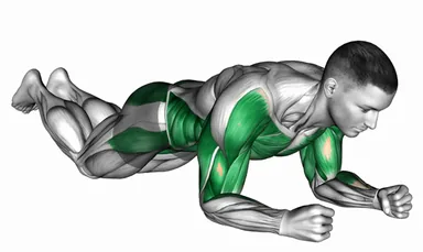 Kneeling Plank Shoulder Tap demo