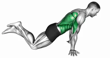 Kneeling Pseudo Planche Push up demo