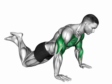 Kneeling Push-up Jump demo