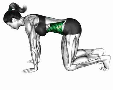 Kneeling Torso Rotation Thread Through demo