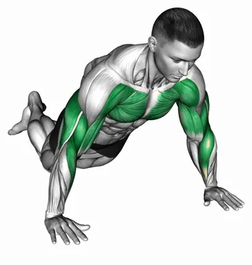Kneeling Shoulder Tap Push-Up demo