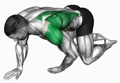 Kneeling T-Spine Mobility demo