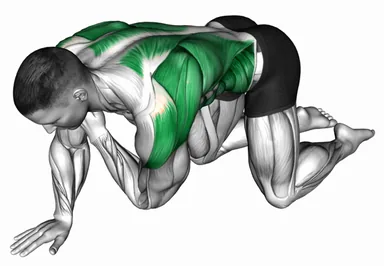 Kneeling Upper Back Rotation (Shoulder Touch) demo