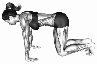 Kneeling Wrist Flexor Stretch demo