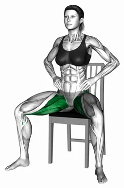 의자 니 인 앤 아웃 자세 시연